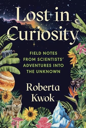 Lost in Curiosity