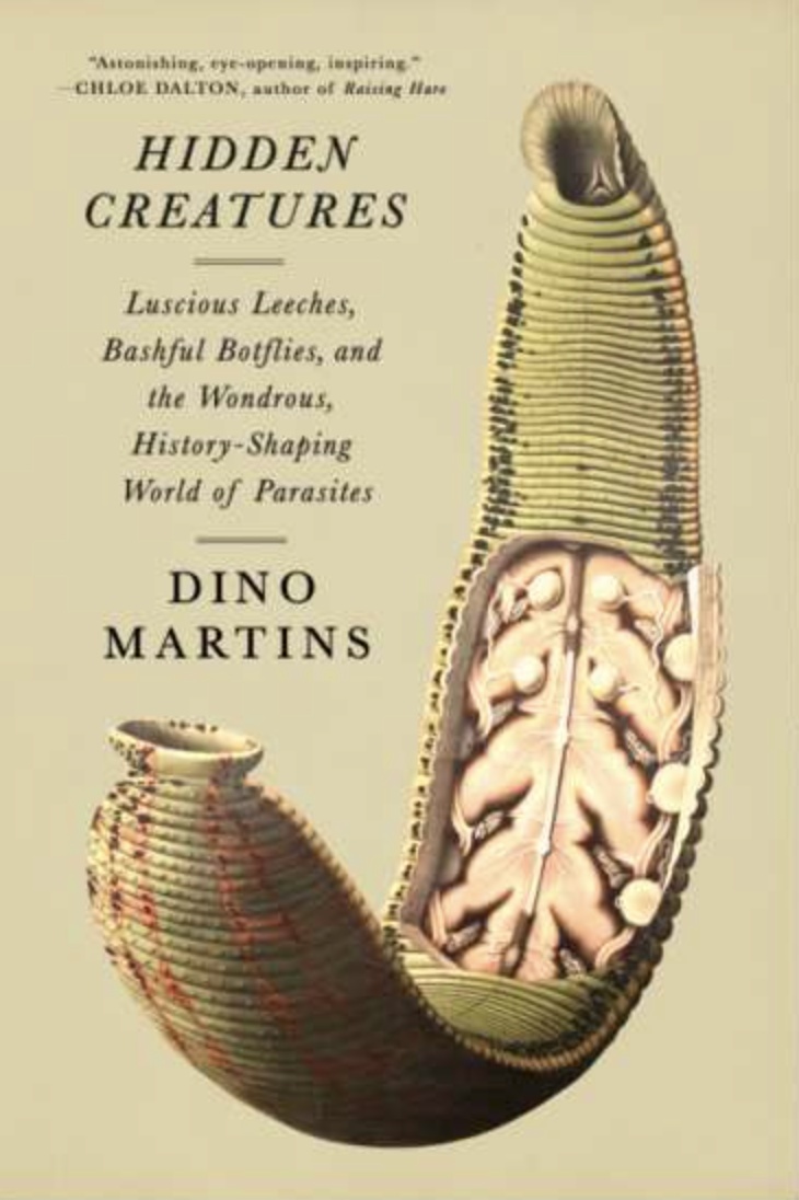 Hidden Creatures