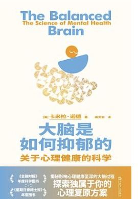 大脑是如何抑郁的